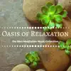 Pure Relaxation Ensemble - Oasis of Relaxation - Soothing Deep Sleep Music, The Best Meditation Music Collection for Insomnia to Fall Asleep